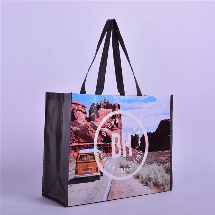 Bagiau Bwydydd Heb eu Gwehyddu wedi'u Brandio