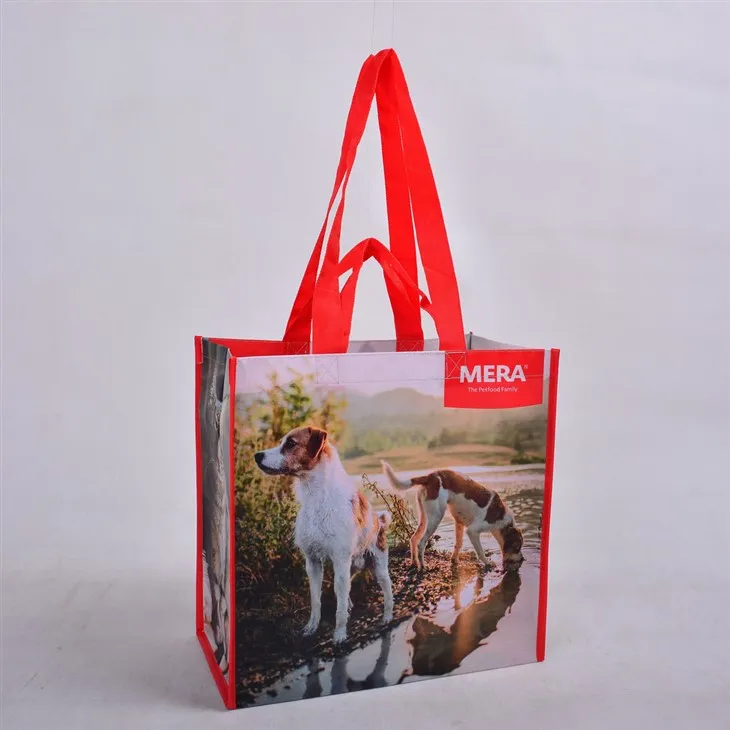 Bagiau siopa wedi'u hailgylchu masnach deg